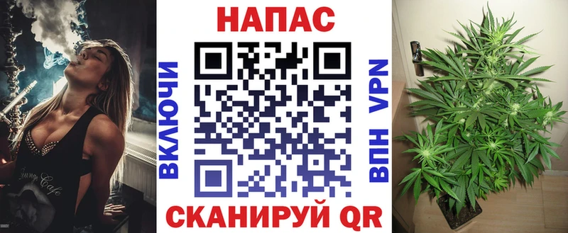 Купить Володарск Каннабис сатива